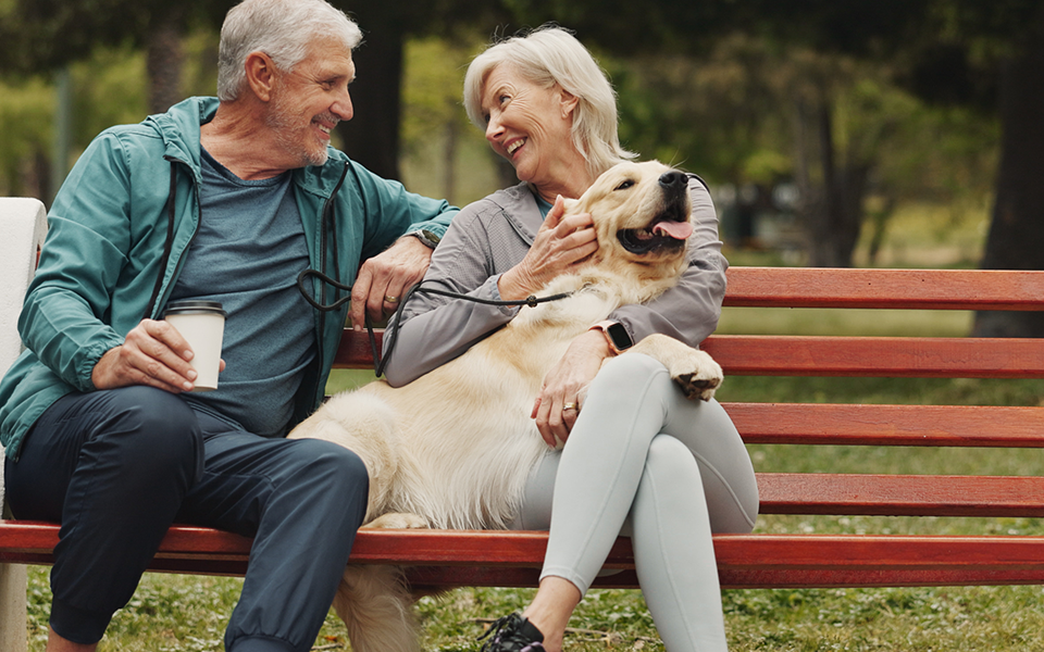 a man and woman are seated on a park bench with a a fluffy golden dog snuggled up on the bench with them