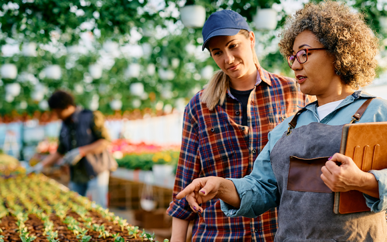 A woman and man are working in a greenhouse looking at plants